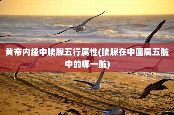 黄帝内经中胰腺五行属性(胰腺在中医属五脏中的哪一脏)