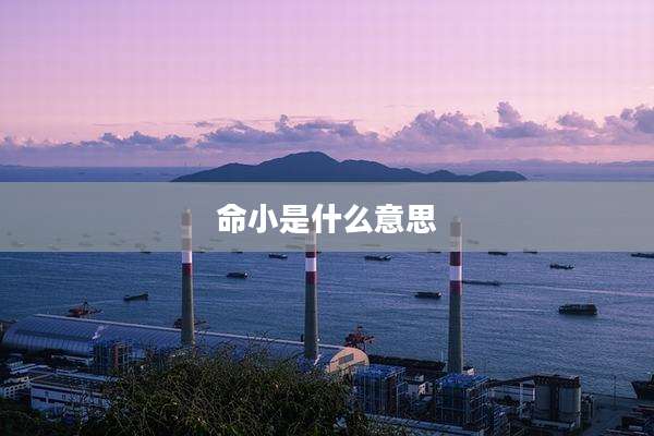 命小是什么意思
