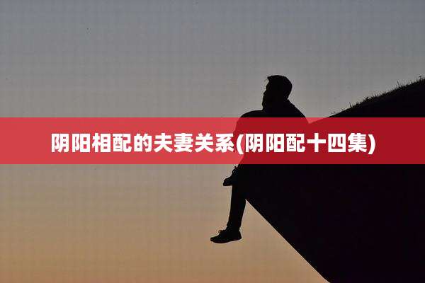 阴阳相配的夫妻关系(阴阳配十四集)