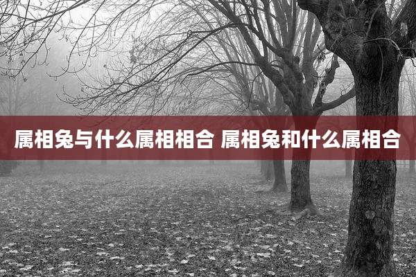 属相兔与什么属相相合 属相兔和什么属相合