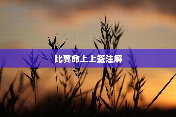 比翼命上上签注解
