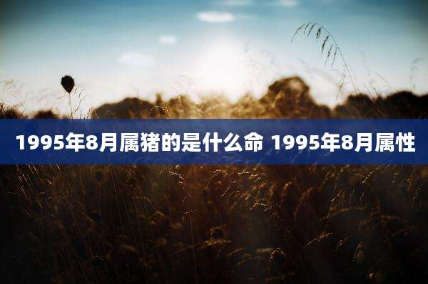 1995年8月属猪的是什么命 1995年8月属性