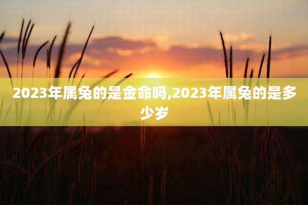 2023年属兔的是金命吗,2023年属兔的是多少岁