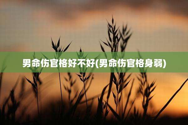 男命伤官格好不好(男命伤官格身弱)