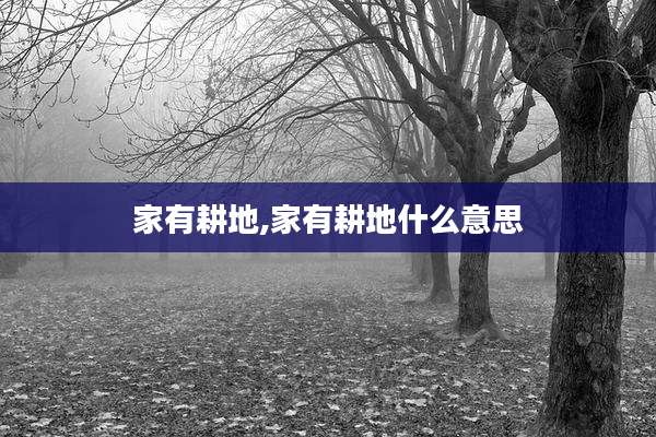 家有耕地,家有耕地什么意思