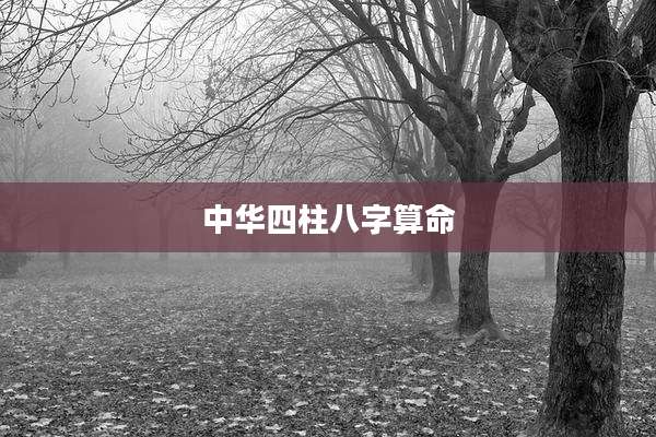 中华四柱八字算命