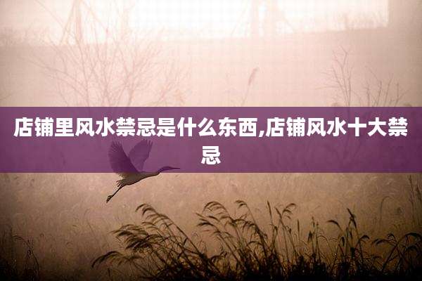 店铺里风水禁忌是什么东西,店铺风水十大禁忌