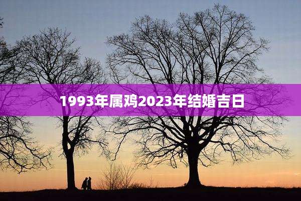 1993年属鸡2023年结婚吉日