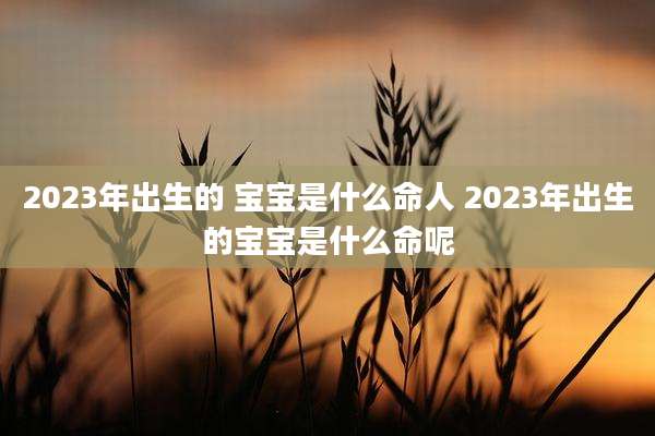 2023年出生的 宝宝是什么命人 2023年出生的宝宝是什么命呢