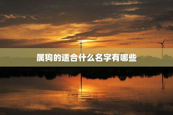 属狗的适合什么名字有哪些