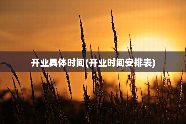 开业具体时间(开业时间安排表)