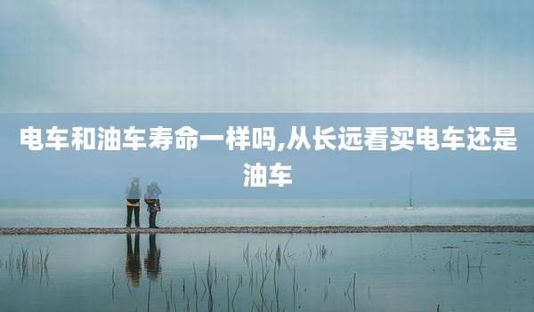 电车和油车寿命一样吗,从长远看买电车还是油车