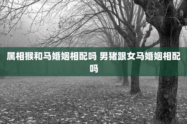 属相猴和马婚姻相配吗 男猪跟女马婚姻相配吗