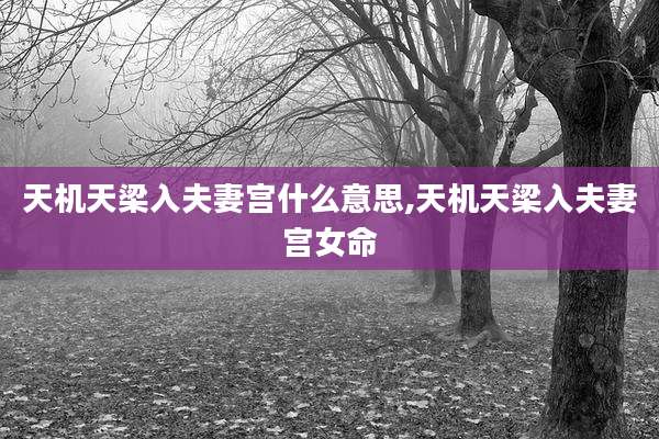 天机天梁入夫妻宫什么意思,天机天梁入夫妻宫女命