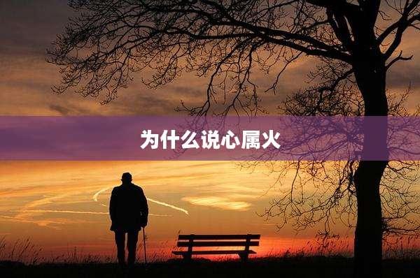 为什么说心属火