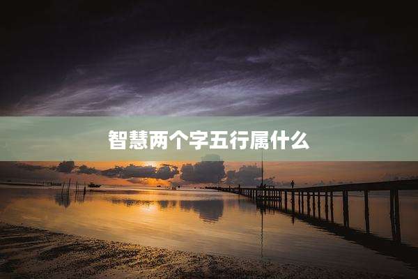 智慧两个字五行属什么