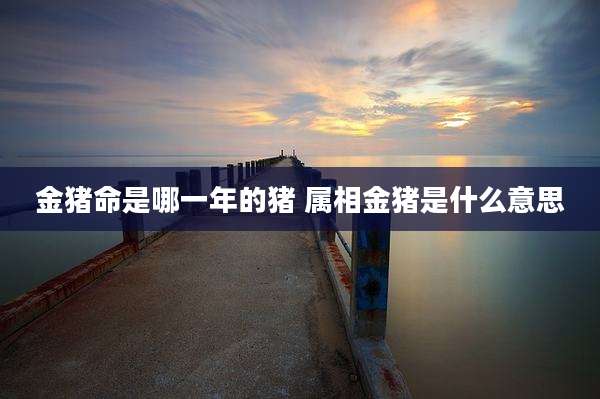 金猪命是哪一年的猪 属相金猪是什么意思