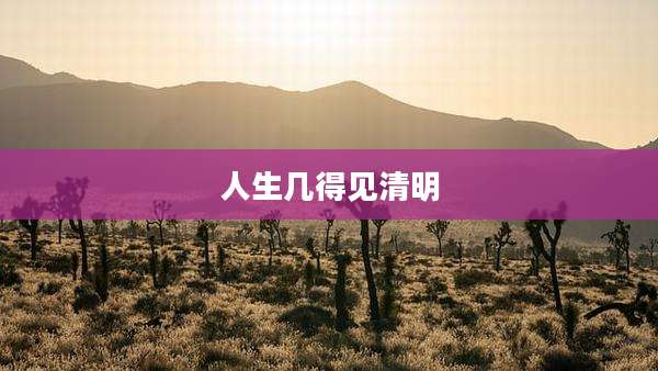 人生几得见清明