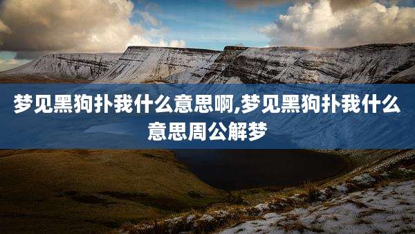 梦见黑狗扑我什么意思啊,梦见黑狗扑我什么意思周公解梦