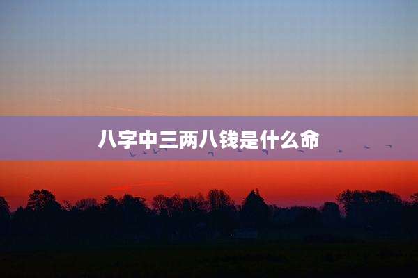 八字中三两八钱是什么命