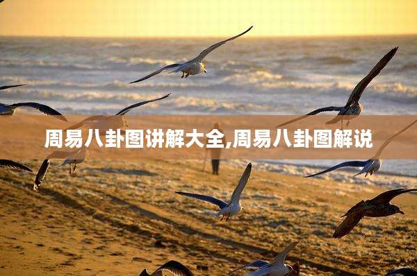 周易八卦图讲解大全,周易八卦图解说