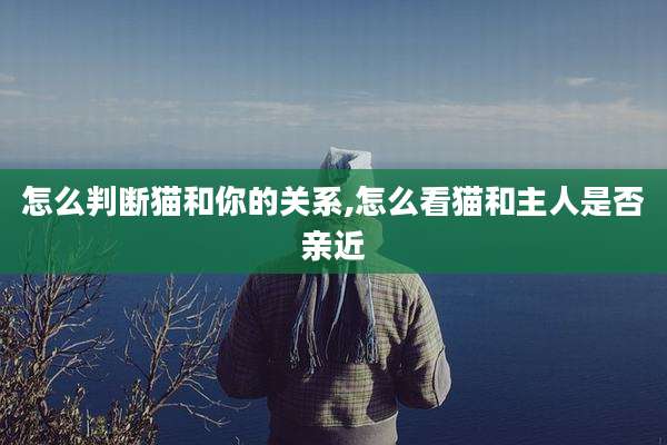 怎么判断猫和你的关系,怎么看猫和主人是否亲近