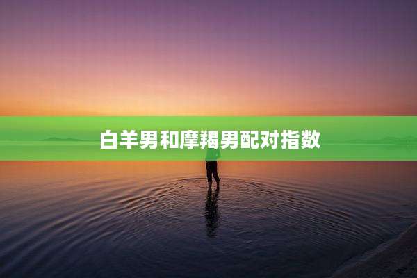 白羊男和摩羯男配对指数