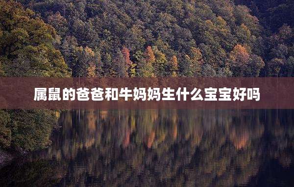 属鼠的爸爸和牛妈妈生什么宝宝好吗
