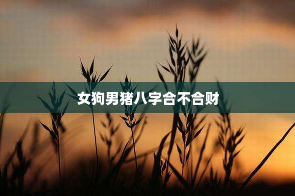 女狗男猪八字合不合财