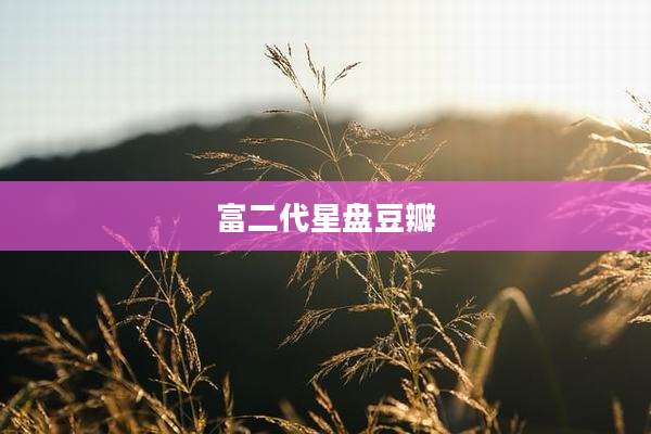 富二代星盘豆瓣