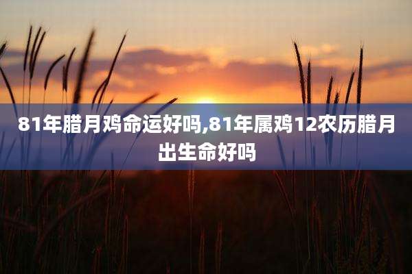 81年腊月鸡命运好吗,81年属鸡12农历腊月出生命好吗