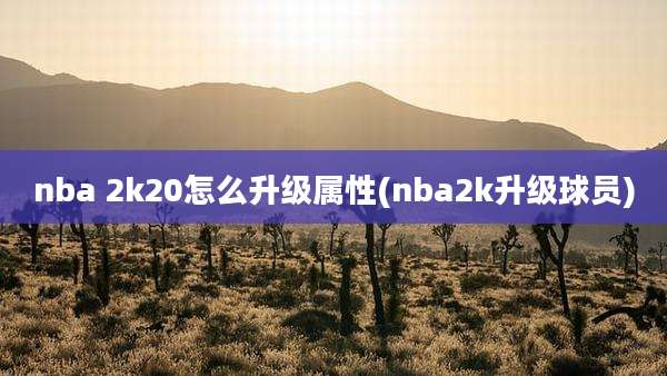 nba 2k20怎么升级属性(nba2k升级球员)