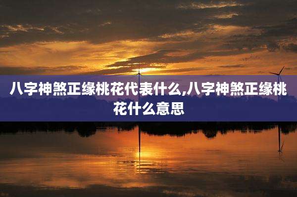八字神煞正缘桃花代表什么,八字神煞正缘桃花什么意思