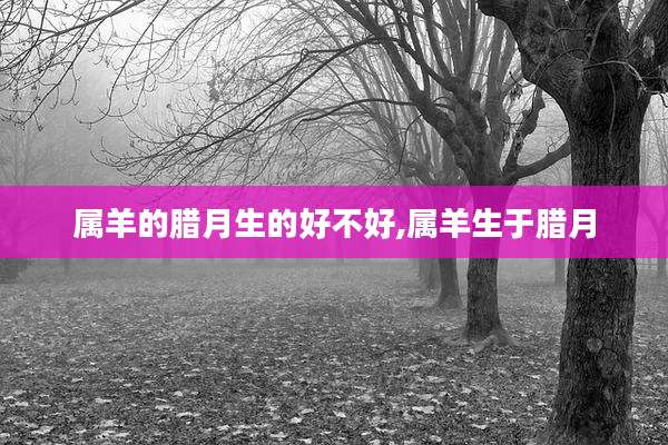 属羊的腊月生的好不好,属羊生于腊月