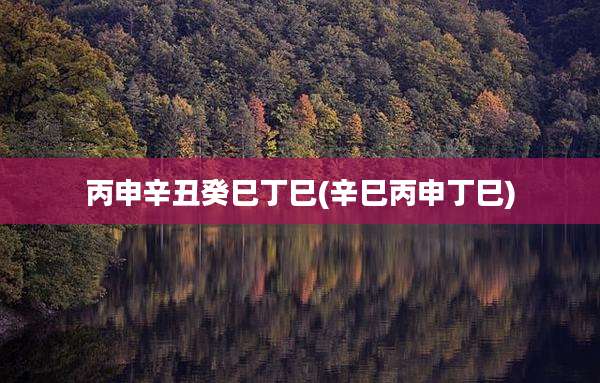 丙申辛丑癸巳丁巳(辛巳丙申丁巳)