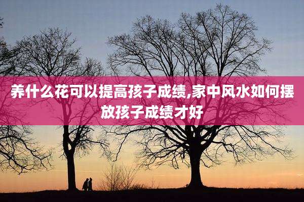 养什么花可以提高孩子成绩,家中风水如何摆放孩子成绩才好