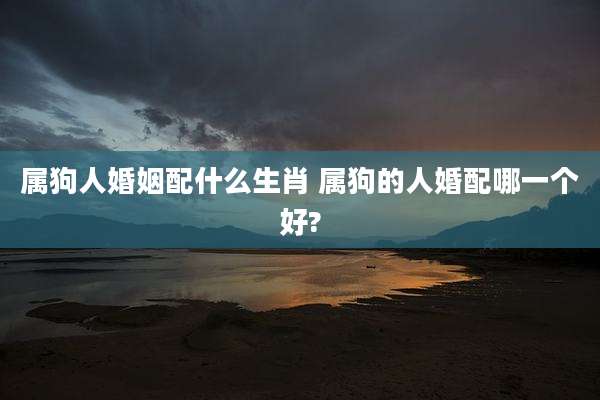 属狗人婚姻配什么生肖 属狗的人婚配哪一个好?