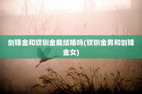 剑锋金和钗钏金能结婚吗(钗钏金男和剑锋金女)
