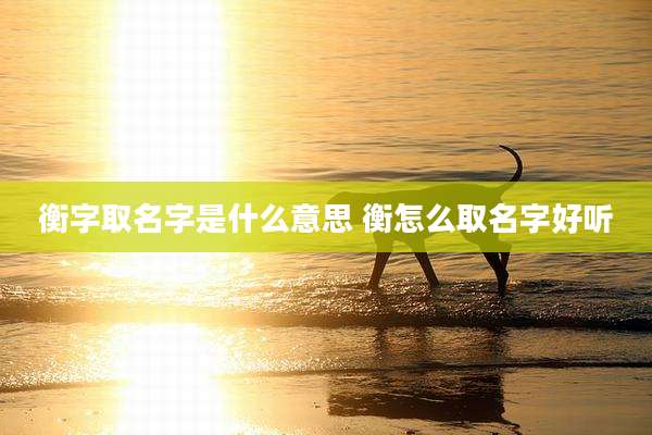 衡字取名字是什么意思 衡怎么取名字好听