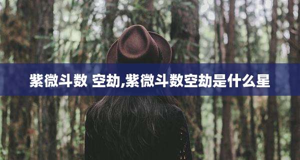 紫微斗数 空劫,紫微斗数空劫是什么星