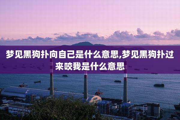 梦见黑狗扑向自己是什么意思,梦见黑狗扑过来咬我是什么意思