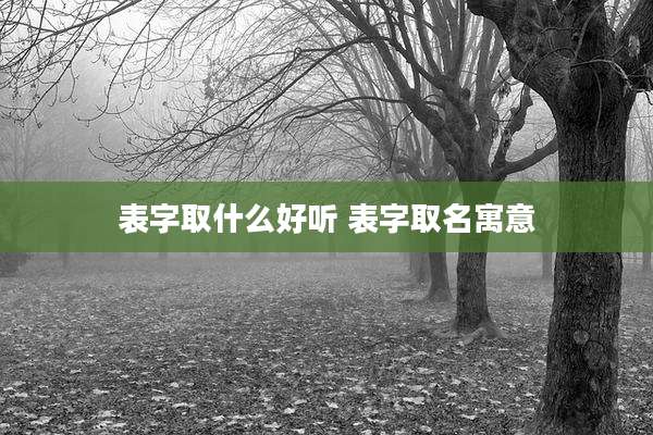 表字取什么好听 表字取名寓意