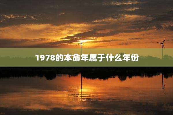 1978的本命年属于什么年份