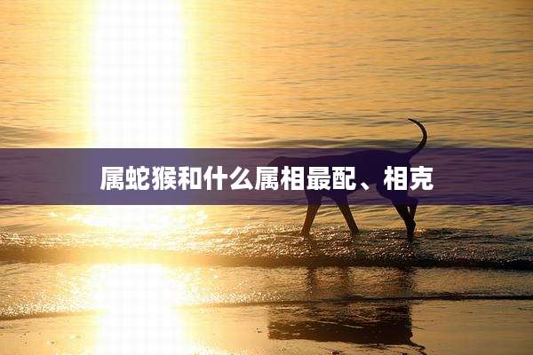 属蛇猴和什么属相最配、相克