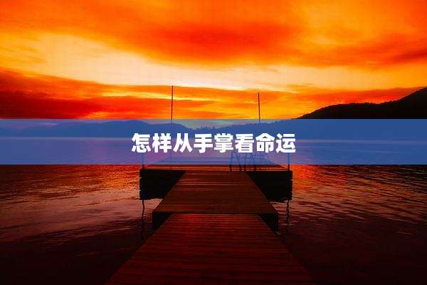 怎样从手掌看命运