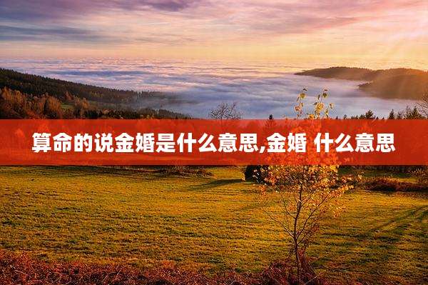 算命的说金婚是什么意思,金婚 什么意思