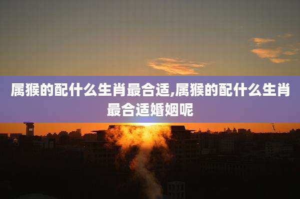 属猴的配什么生肖最合适,属猴的配什么生肖最合适婚姻呢