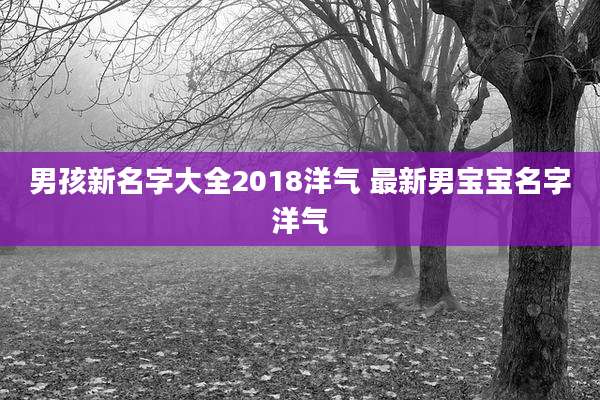 男孩新名字大全2018洋气 最新男宝宝名字洋气