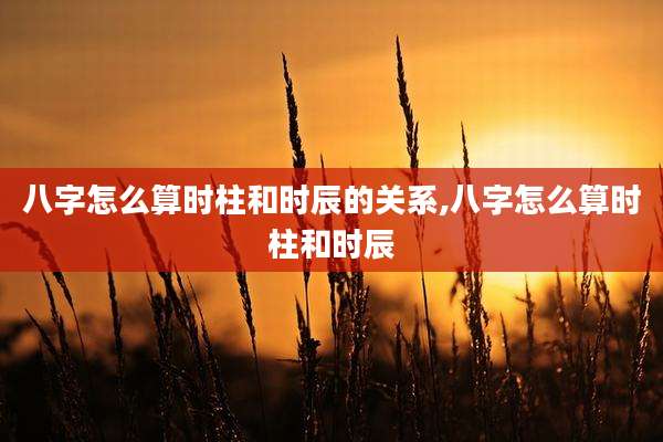 八字怎么算时柱和时辰的关系,八字怎么算时柱和时辰