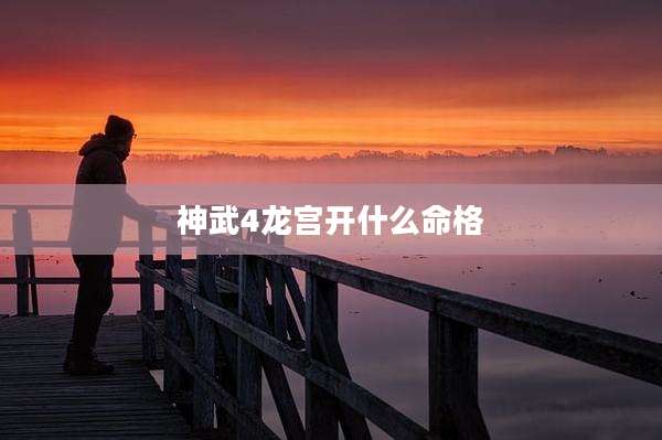 神武4龙宫开什么命格